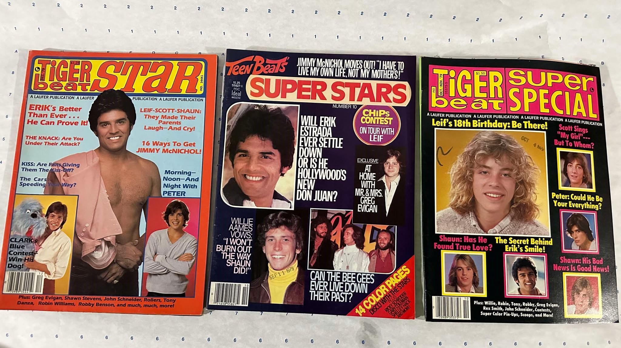 [洋書]　60年代 英国ポップス TEENBEAT ANNUAL 1970 洋書] 60年代 英国ポップス TEENBEAT ANNUAL 1970 Teen-Beat 410