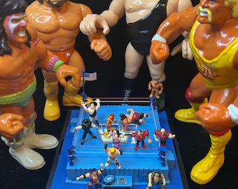 Vintage Wrestling Figure WWE WCW Action Figure / Hasbro Titan