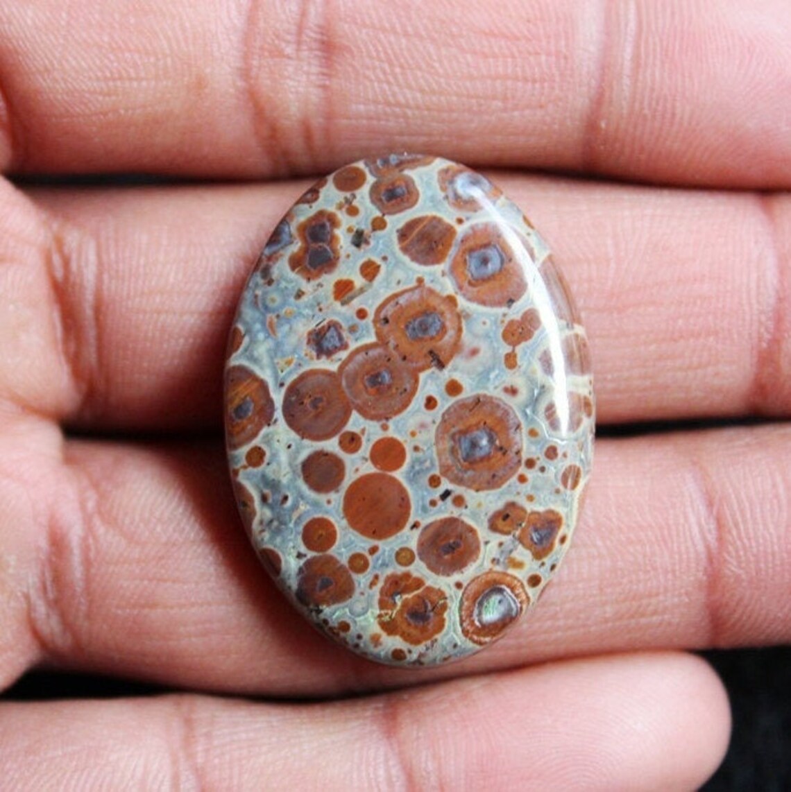 Beautiful Mexican Orbicular Jasper Oval Shape Cabochon Ocean Etsy
