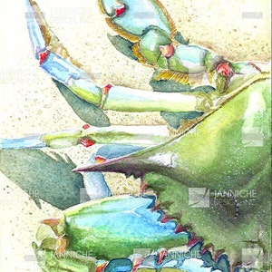 May include: Watercolor painting of a blue crab with green and blue accents. The crab's claws are extended, and the image is set against a sandy background. The crab's shell is a vibrant green, and the claws are a light blue. The image has the text "JANNICHE DESIGN, INC."