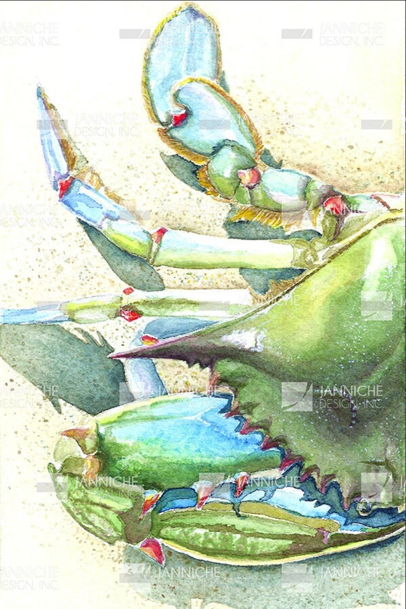 May include: Watercolor painting of a blue crab with green and blue accents. The crab's claws are extended, and the image is set against a sandy background. The crab's shell is a vibrant green, and the claws are a light blue. The image has the text "JANNICHE DESIGN, INC."