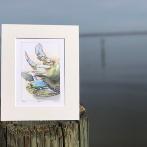 May include: A watercolor print of a blue crab, framed in a white mat. The crab is depicted in shades of blue, green, and tan, with detailed claws and body. The print is displayed on a weathered wooden post, with a blurred water background.