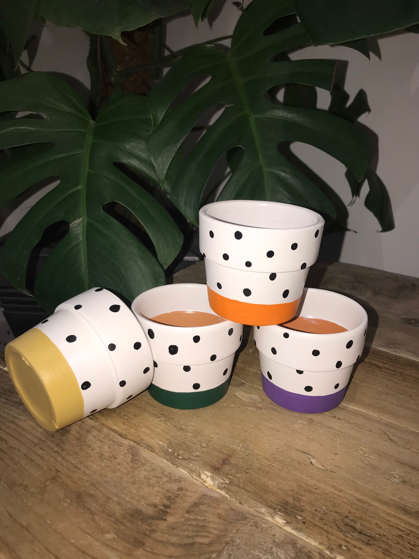 Mini Polka Dot Plant Pots Indoor Planters Hand Painted Etsy