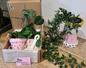 Macramé Plant Care Package Macrame hanging planter Plant lovers gift Fake Plants Hanging Pot House warming gift Gift for her