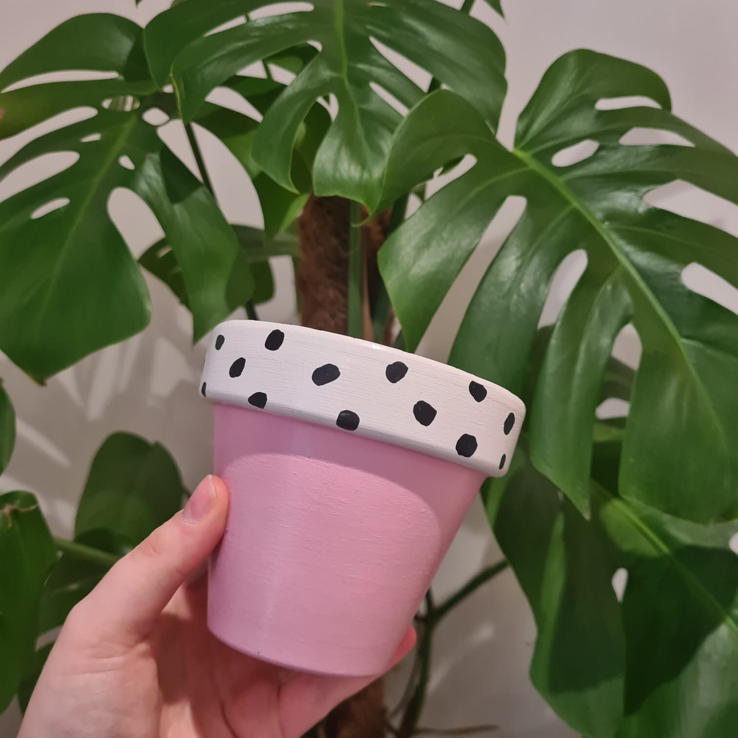 House Plant Pot Hand Painted Plant Pot Pink Plant Pot Etsy