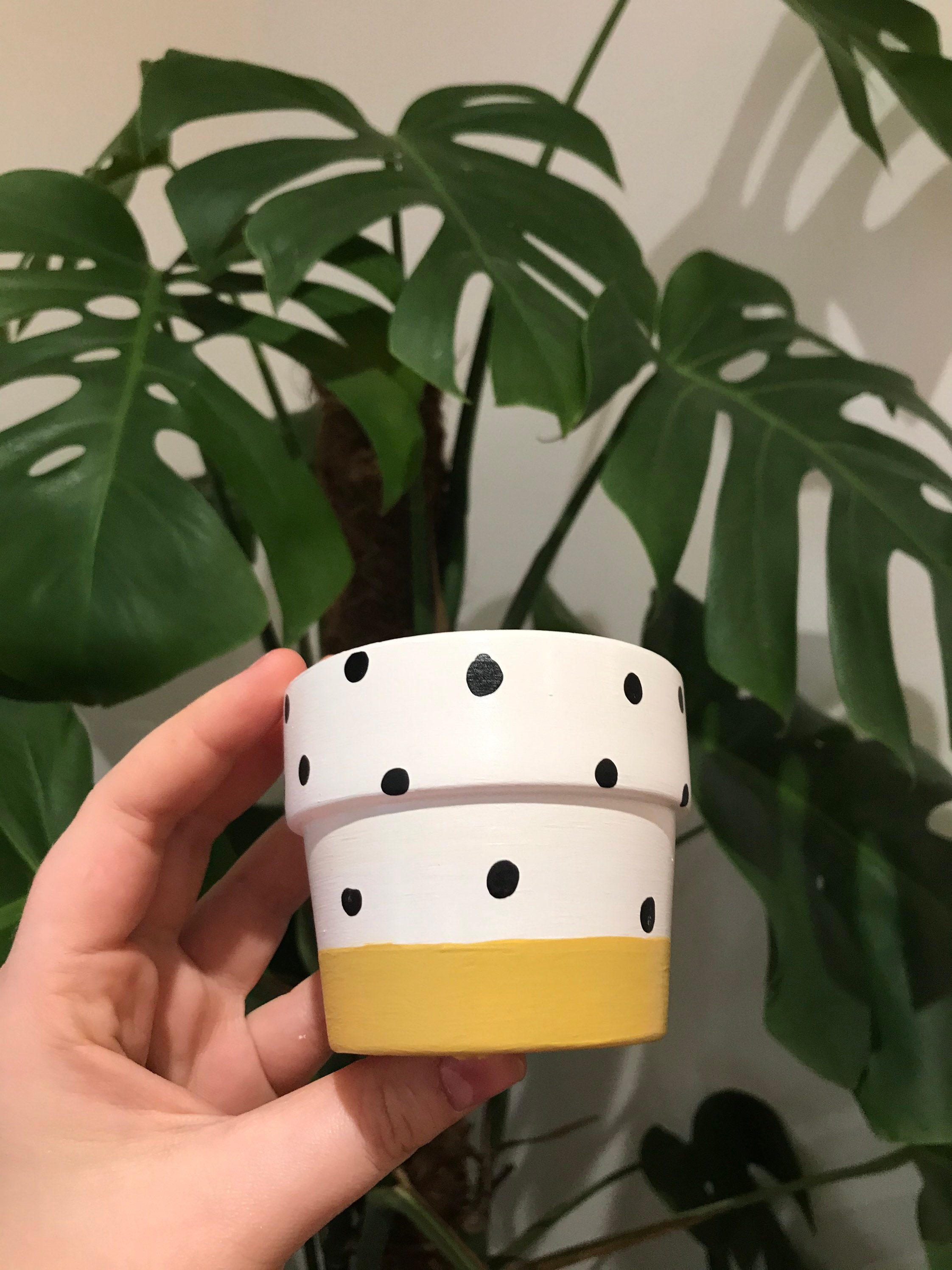 Mini Polka Dot Plant Pots Indoor Planters Hand Painted Etsy