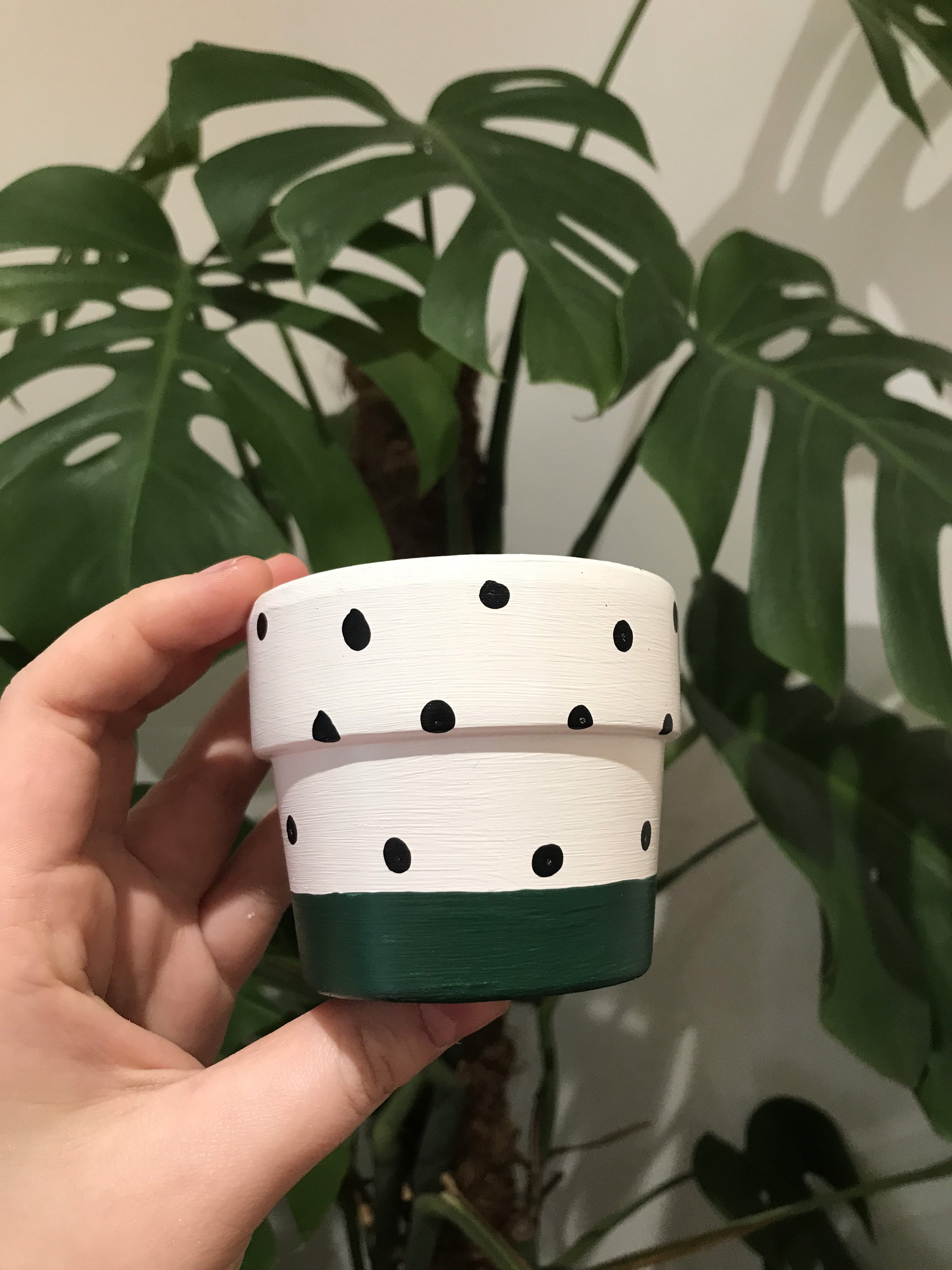 Mini Polka Dot Plant Pots Indoor Planters Hand Painted Etsy