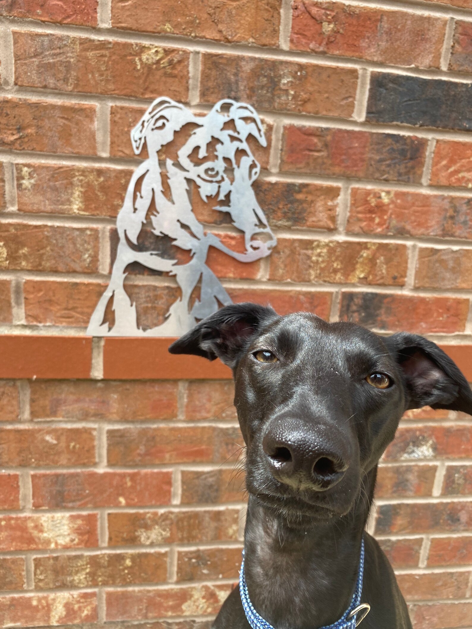 Lurcher Dog Metal Garden Sculpture/ Pet Portrait/Dog Etsy