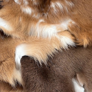 Genuine Natural Sheepskins for Crafting, Upholstery, Cosy Decor, Pet Bedding, DIY Projects - End-of-Batch Unique Tones & Sizes