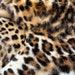 Genuine Natural Sheepskin Hide - Leopard Print - Perfect for Home Decor, Craft Project, Throws, Chair Cover, Seat Pad, Pillows. Clearance