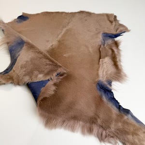 fawn sheepskin short wool
