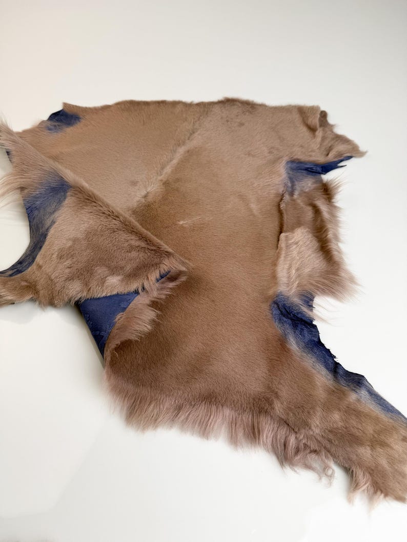 fawn sheepskin short wool