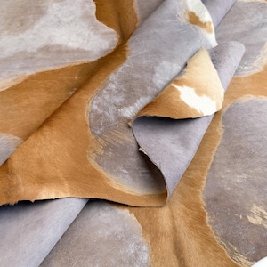 Könnte beinhalten: Ein Kuhfell mit einem natürlichen Muster aus lohfarbenen, weißen und grauen Flecken. Das Fell hat eine weiche, kurzhaarige Textur auf der Oberseite und eine glatte, hellgraue, wildlederartige Oberfläche auf der Unterseite, die an der Falte sichtbar ist.