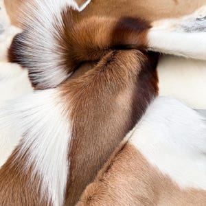 Genuine Antelope Hide - Natural Brown & White Fur - Bag, Costume Design, Home Decor, Designer Upholstery, Rug, Mat, Props Material
