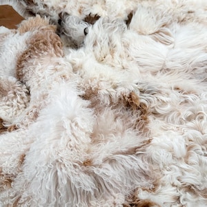 Luxury Curly Sheepskin Throw For Sofa Couch or Bed Cover in Ivory & Honey Brown Curls and Tan Suede - Blanket or Rug
