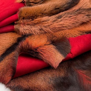 May include: Close-up of a piece of fur with a mix of brown, orange, and black tones. The fur is layered over a vibrant red fabric, creating a striking contrast. The texture of the fur is visible, with varying shades.