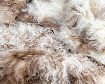 Genuine Tigrados Sheepskin - Curly Light Brown - Perfect for Home Decor, Crafts, and Fashion - Throws, Chair Cover, Blanket, Baby, Gift