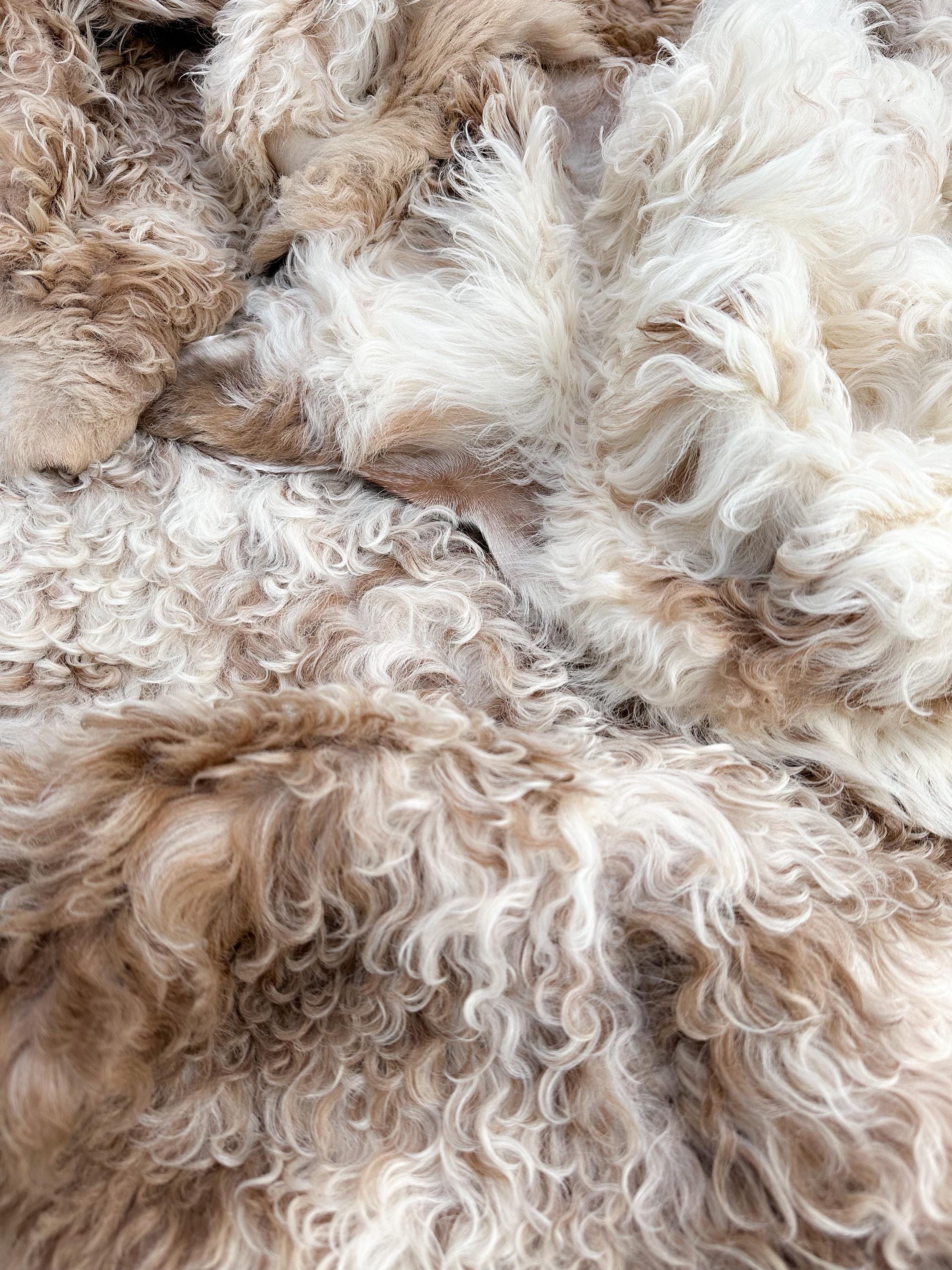 Sheepskin Throw for a Chair Etsy Canada