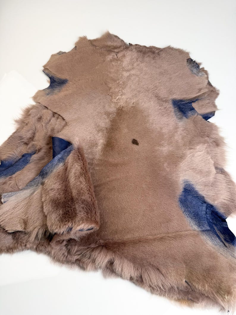 K&ouml;nnte beinhalten: Ein unregelm&auml;&szlig;ig geformtes St&uuml;ck gegerbter Tierhaut. Die Haut ist haupts&auml;chlich in einem ged&auml;mpften Braunton gehalten, mit Flecken dunkler blauer Farbe. Die Textur ist weich und pelzig, mit sichtbaren Haarfasern. Ein dunkler Fleck ist sichtbar.