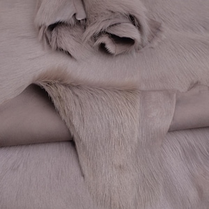 May include: A light taupe-coloured animal hide with a short, dense fur texture. The hide is folded over itself, revealing the smooth, matte underside of the leather. The surface displays a consistent, natural grain and a soft, muted colour tone.