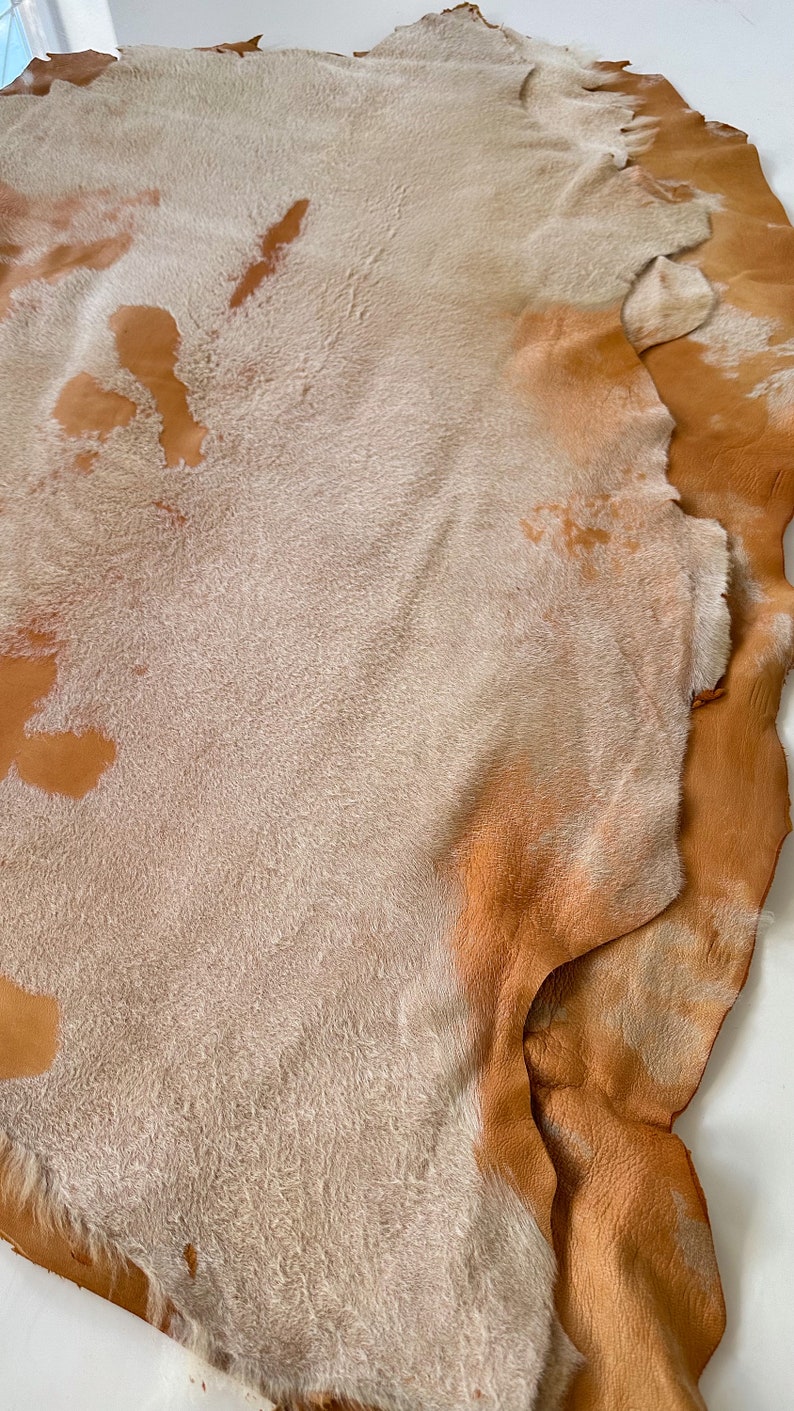 Clearance Genuine Lambskin Cavalino Cow Print Hide Throw Home Decor ...