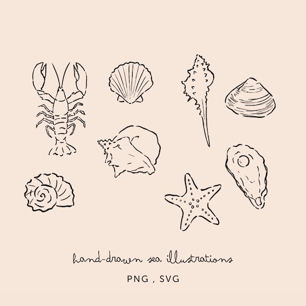 Sea Life Illustration Bundle, PNG SVG Pack - Hand Drawn Clipart for Wedding, Hosting, Menus, Decor and More- Ocean, Oysters Lineart Drawings