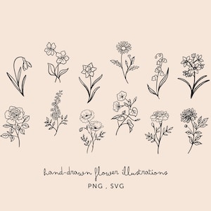 Paquete de imágenes PNG SVG de flores de nacimiento: imágenes prediseñadas dibujadas a mano para bodas, celebraciones, menús, fiestas y dibujos lineales