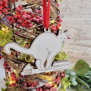 Pooping Cat Ornament 2024 Funny Cat Poop Ornament - Etsy