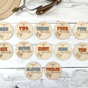Interchangeable Monthly Milestone Markers, Western Themed Monthly Milestone Discs, Baby Shower Gift, Baby Photo Prop, Newborn Photo Prop