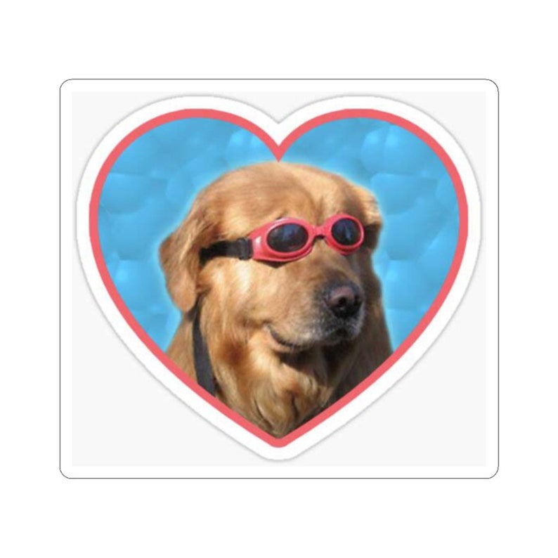 Schwimmer Hund Doggo Aufkleber Hund Meme Doggo Witz Etsy