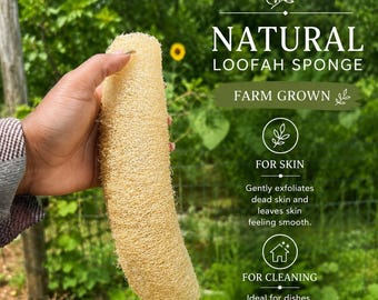 Natural Loofah Sponge | Farm Grown Loofah | Eco-Friendly Body Scrubber | Natural Exfoliating Sponge | Zero Waste Bath Sponge