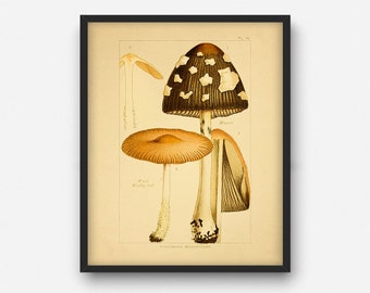 Vintage giftige Pilz Druck, druckbare Wand-Dekor, botanische Küche Dekor, Geschenk für Koch, Pilze Poster Illustration INSTANT DOWNLOAD