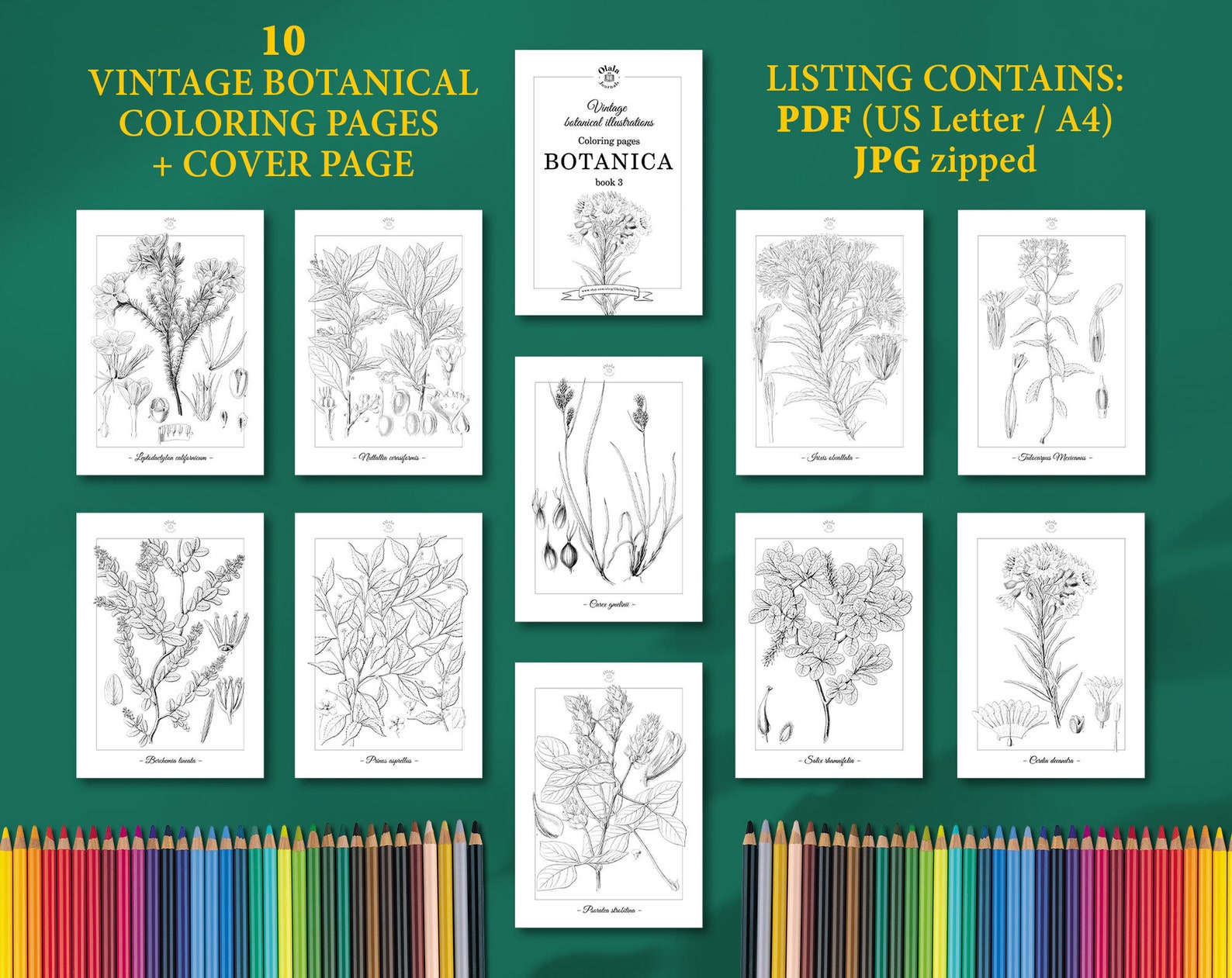 BOTANICA Vintage Coloring Pages, Book 3 / Coloring Pages for Adults ...