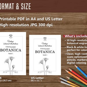 Botanica I Pagine da colorare botaniche vintage / Pagine da colorare per adulti e bambini / Disegni floreali antichi stampabili / Colorazione lenta immagine 7