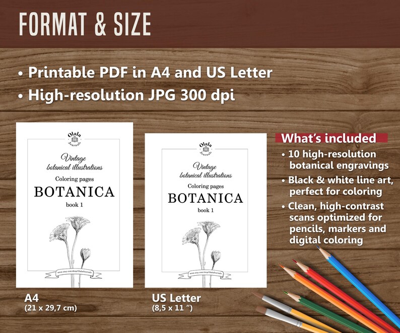Botanica I Pagine da colorare botaniche vintage / Pagine da colorare per adulti e bambini / Disegni floreali antichi stampabili / Colorazione lenta immagine 7