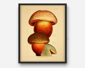 Vintage giftige Pilz Druck, druckbare Wand-Dekor, botanische Küche Dekor, Geschenk für Koch, Pilze Poster Illustration INSTANT DOWNLOAD