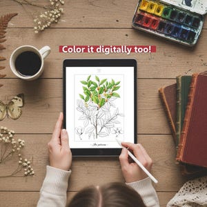 Botanica I Pagine da colorare botaniche vintage / Pagine da colorare per adulti e bambini / Disegni floreali antichi stampabili / Colorazione lenta immagine 10