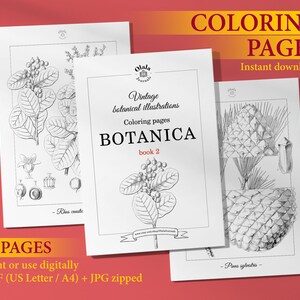 BOTANICA Vintage Coloring Pages, Book 2 / Coloring Pages for Adults ...