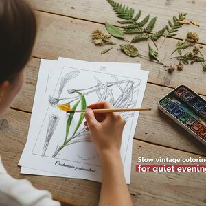 Botanica I Pagine da colorare botaniche vintage / Pagine da colorare per adulti e bambini / Disegni floreali antichi stampabili / Colorazione lenta immagine 3