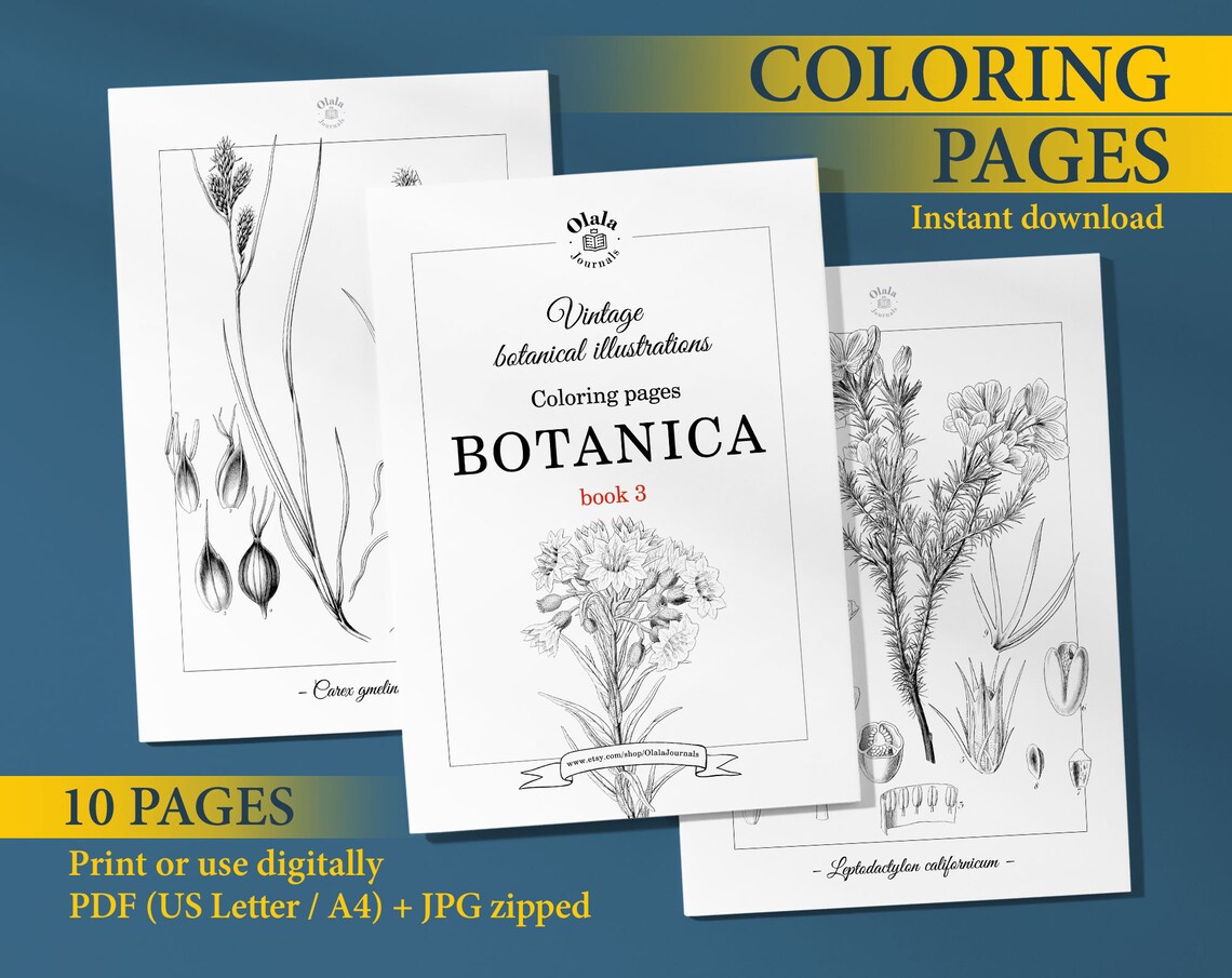 BOTANICA Vintage Coloring Pages, Book 3 / Coloring Pages for Adults ...