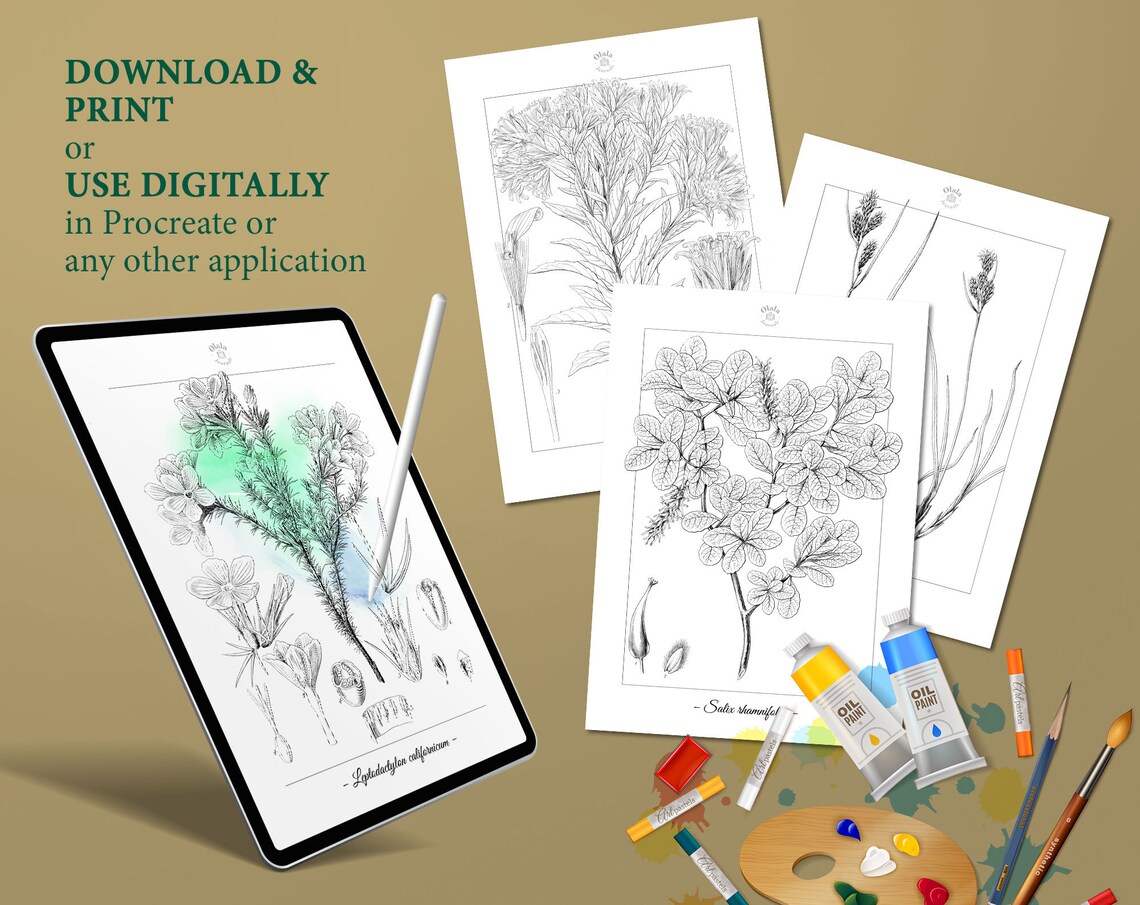 BOTANICA Vintage Coloring Pages, Book 3 / Coloring Pages for Adults ...