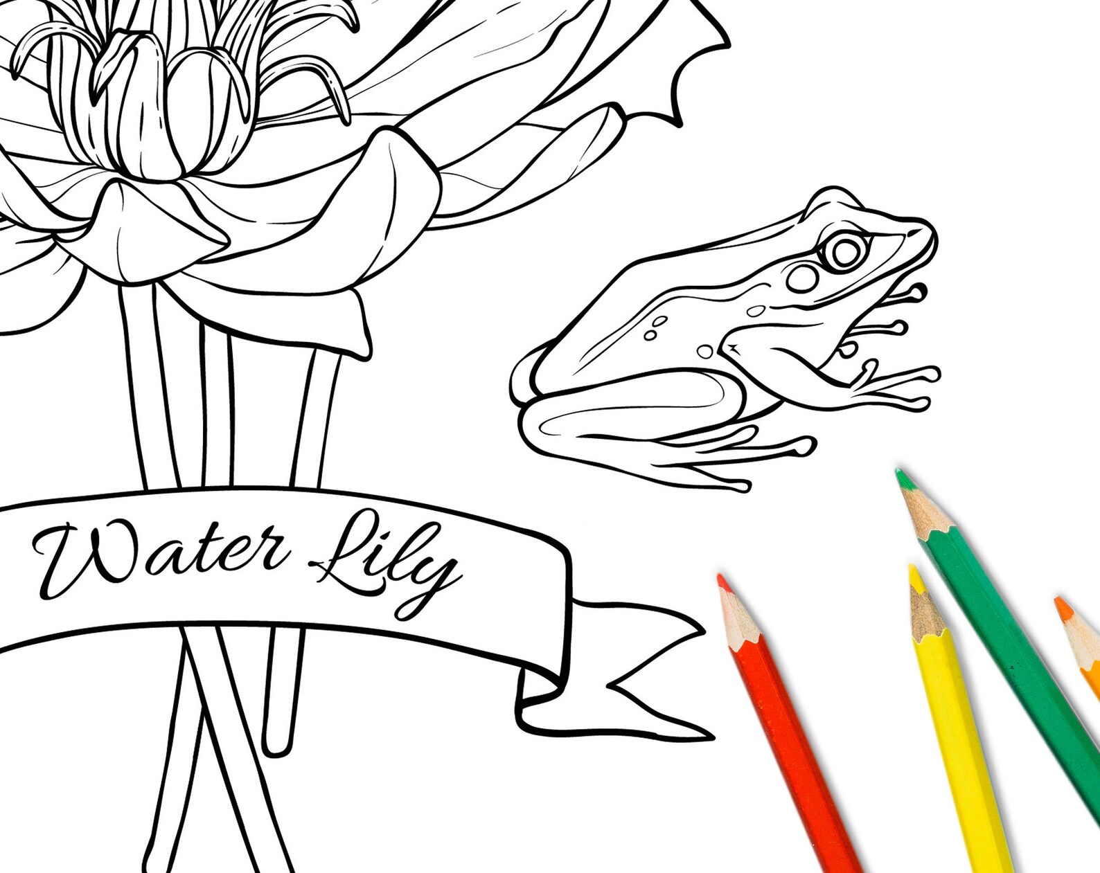 Water Lily Flower Coloring Page Printable Adult Floral - Etsy