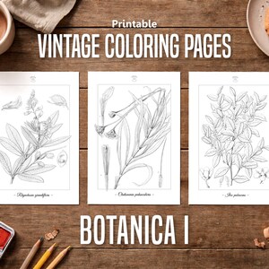Botanica I Pagine da colorare botaniche vintage / Pagine da colorare per adulti e bambini / Disegni floreali antichi stampabili / Colorazione lenta immagine 1