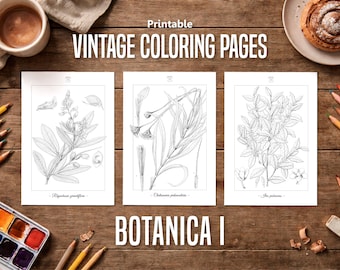 Botanica I Vintage Botanische Malseiten / Malseiten für Erwachsene & Kinder / Druckbare Antique Floral Line Art / Slow Färbung