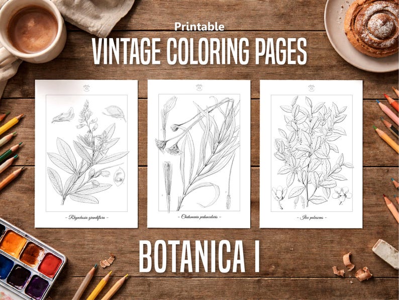 Botanica I Pagine da colorare botaniche vintage / Pagine da colorare per adulti e bambini / Disegni floreali antichi stampabili / Colorazione lenta immagine 1