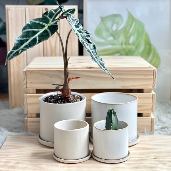 Minimalist Cylinder Ceramic or Raw Clay planter pot with drainage hole and saucer | 4" 6" 8"