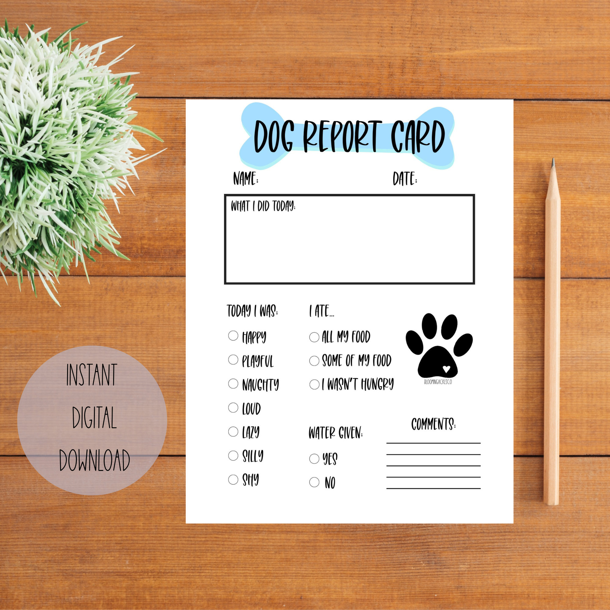 Printable Dog Report Card - Etsy for Free Printable Dog Report Cards