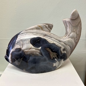 Pesca del día por INNOCENT NYASHENGA