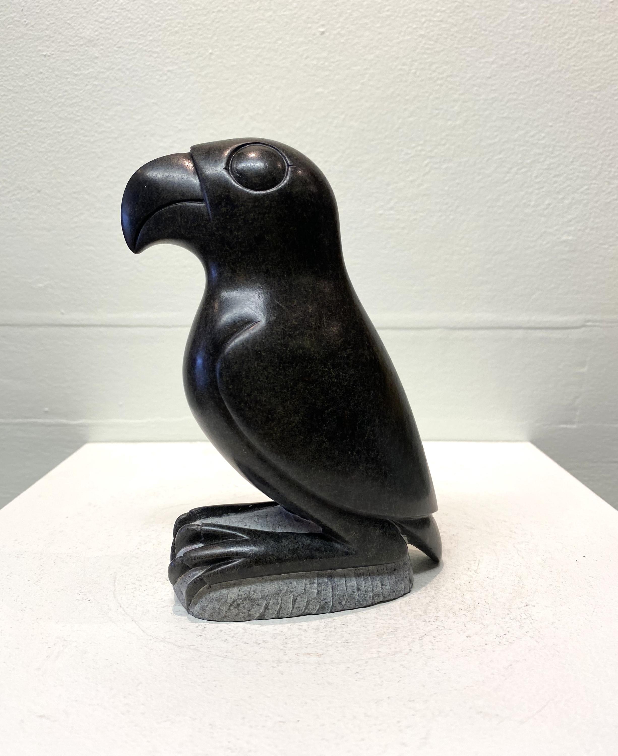 PARROT by Rackinos CHINGWARO. Shona Sculpture Stone African Art Handmade Carved Home Garden Ornament Original Unique Gift Present
