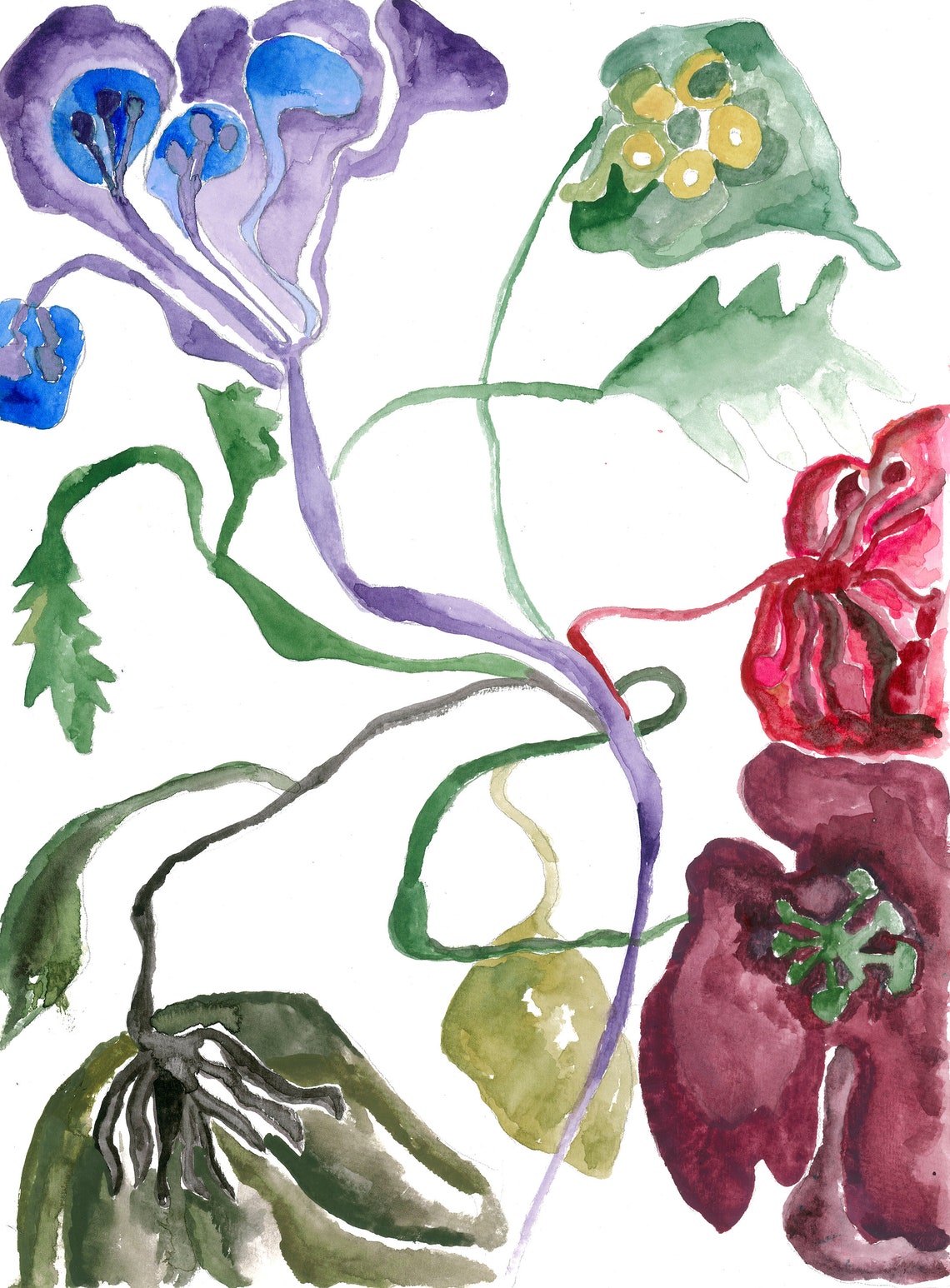 magic flowers drawing magic flowers drawing